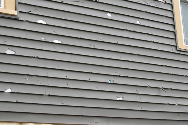 Best Vinyl Siding Installation  in North Bay Village, FL