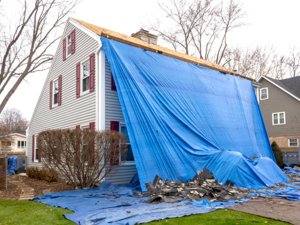 Best Storm Damage Siding Repair  in North Bay Village, FL