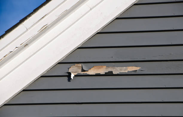 How To Choose The Right Materials for Your Siding Installation in 'North Bay Village, FL